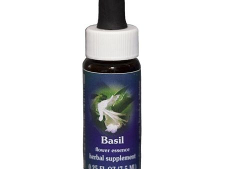 Fes Quintessentials Basil 7.5ml Cheap