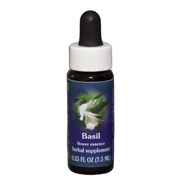 Fes Quintessentials Basil 7.5ml Cheap