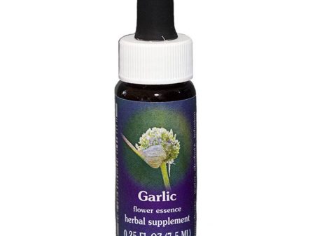 Fes Quintessentials Garlic 7.5ml Online Sale