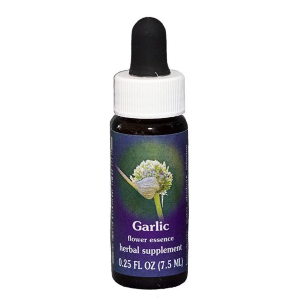 Fes Quintessentials Garlic 7.5ml Online Sale