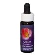 Fes Quintessentials Quince 7.5ml Hot on Sale