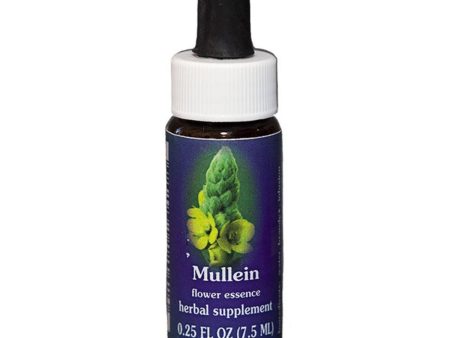 Fes Quintessentials Mullein 7.5ml For Discount