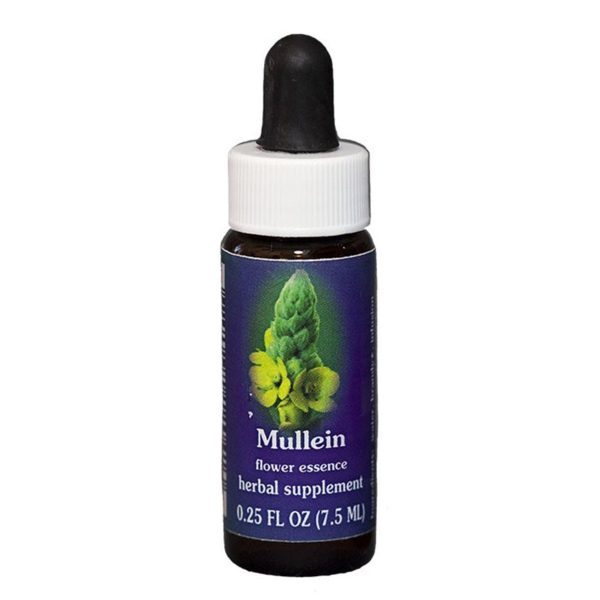 Fes Quintessentials Mullein 7.5ml For Discount