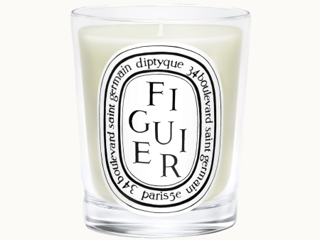 Figuier Standard Candle Sale