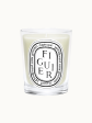 Figuier Standard Candle Sale