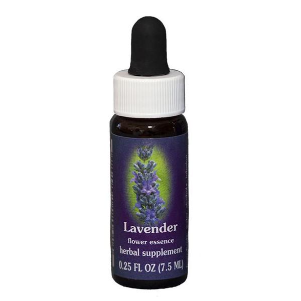 Fes Quintessentials Lavender 7.5ml Supply