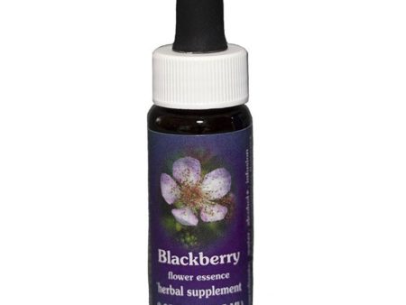 Fes Quintessentials Blackberry 7.5ml Hot on Sale