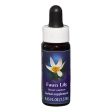 Fes Quintessentials Fawn Lily 7.5ml For Sale