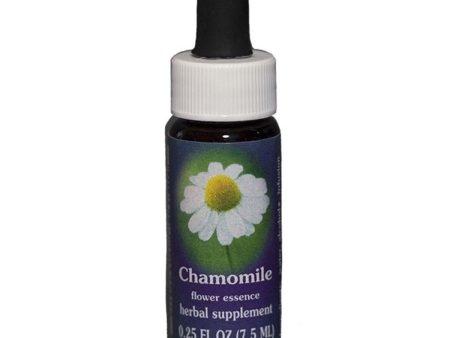 Fes Quintessentials Chamomile 7.5ml Online now