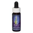 Fes Quintessentials Mugwort 7.5ml Cheap