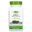 Nature s Way, Kelp, 600 mg, 180 Capsules Online Hot Sale