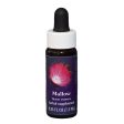 Fes Quintessentials Mallow 7.5ml on Sale