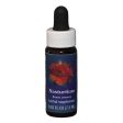 Fes Quintessentials Nasturtium 7.5ml Fashion