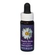 Fes Quintessentials Shasta Daisy 7.5ml Discount