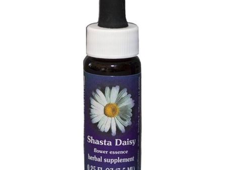 Fes Quintessentials Shasta Daisy 7.5ml Discount