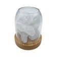 Amrita Court Aurora Crystal Diffuser Wooden Base with Light Clear Quartz Online Sale