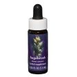 Fes Quintessentials Sagebrush 7.5ml For Cheap