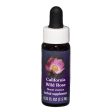 Fes Quintessentials California Wild Rose 7.5ml Fashion