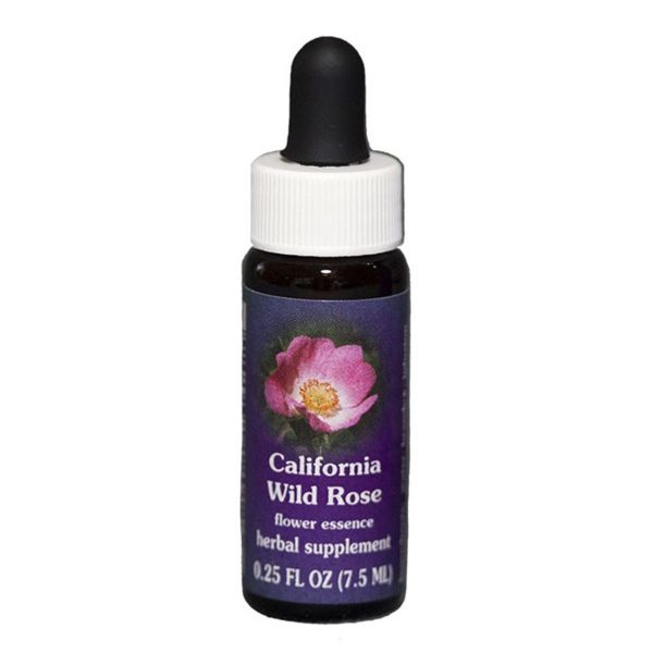 Fes Quintessentials California Wild Rose 7.5ml Fashion