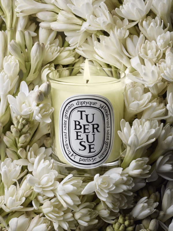 Tuberose Standard Candle Online