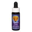 Fes Quintessentials California Poppy 7.5ml For Sale