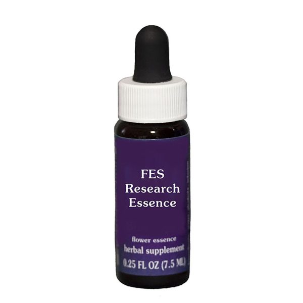 Fes Quintessentials (Research) Orange 7.5ml Online Sale