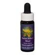 Fes Quintessentials Saint John S Wort 7.5ml on Sale