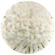 White Chrysanthemum 16  Round Hot on Sale