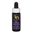 Fes Quintessentials California Pitcher Plant 7.5ml Online Sale