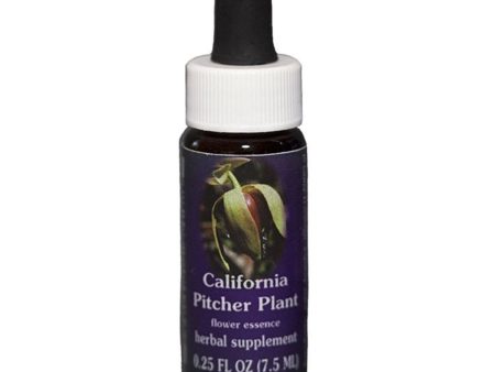 Fes Quintessentials California Pitcher Plant 7.5ml Online Sale