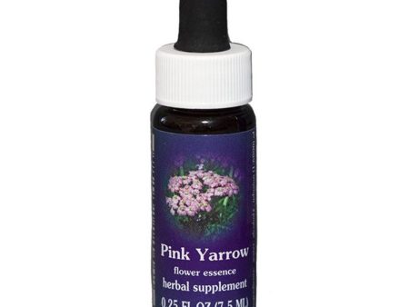 Fes Quintessentials Pink Yarrow 7.5ml For Sale