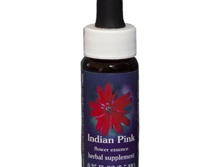 Fes Quintessentials Indian Pink 7.5ml Online now