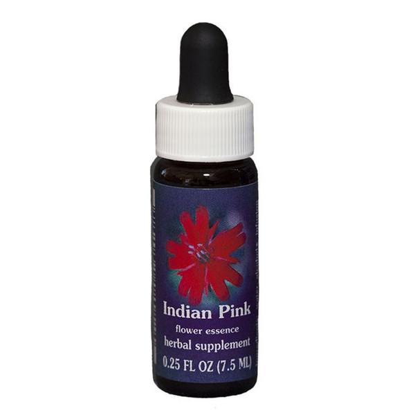 Fes Quintessentials Indian Pink 7.5ml Online now