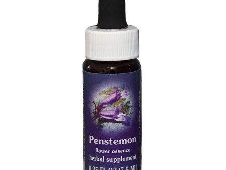 Fes Quintessentials Penstemon 7.5ml Cheap