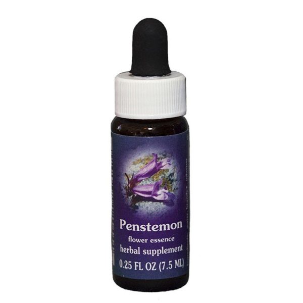 Fes Quintessentials Penstemon 7.5ml Cheap