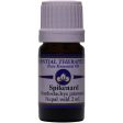 Essential Therapeutics Essential Oil Spikenard 2ml Online Hot Sale