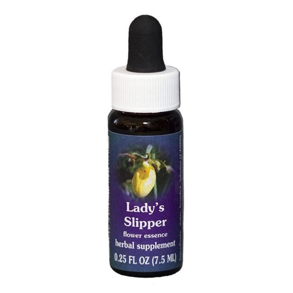 Fes Quintessentials Lady S Slipper 7.5ml Online