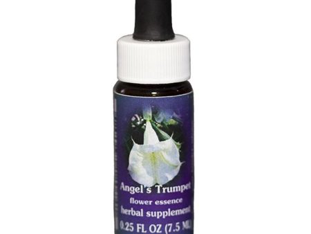 Fes Quintessentials Angel S Trumpet 7.5ml Sale