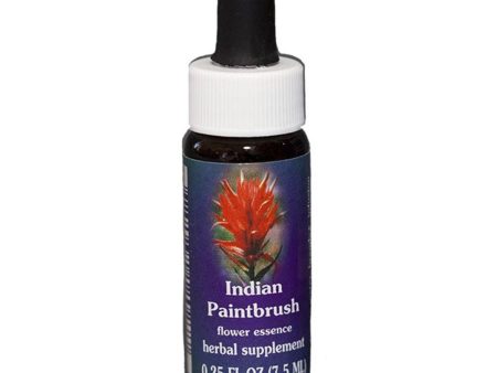 Fes Quintessentials Indian Paintbrush 7.5ml Fashion