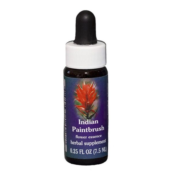 Fes Quintessentials Indian Paintbrush 7.5ml Fashion