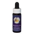 Fes Quintessentials Mariposa Lily 7.5ml Hot on Sale