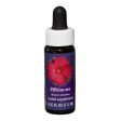 Fes Quintessentials Hibiscus 7.5ml Fashion