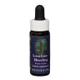 Fes Quintessentials Love-Lies-Bleeding 7.5ml on Sale