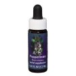 Fes Quintessentials Peppermint 7.5ml Discount