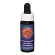 Fes Quintessentials Pomegranate 7.5ml Online Hot Sale