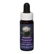 Fes Quintessentials Mountain Pennyroyal 7.5ml on Sale