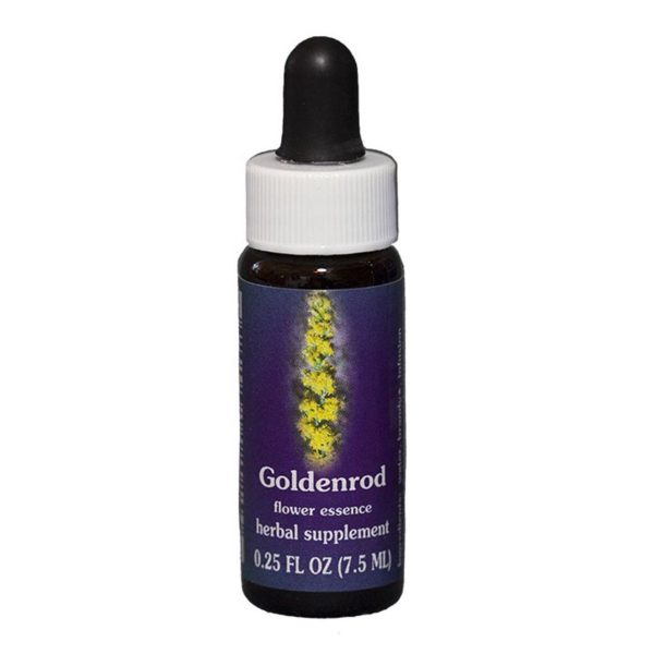 Fes Quintessentials Goldenrod 7.5ml For Discount