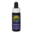 Fes Quintessentials Rabbitbrush 7.5ml Sale