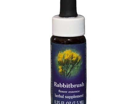 Fes Quintessentials Rabbitbrush 7.5ml Sale