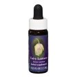 Fes Quintessentials Fairy Lantern 7.5ml Online